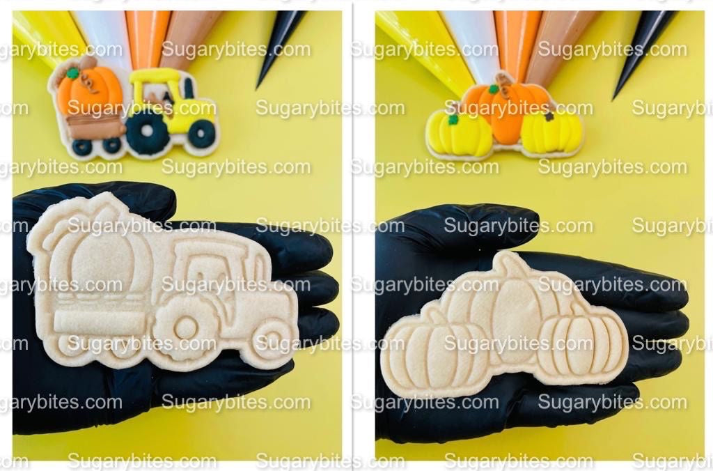 Fall Cookie Decorating Kit, Fall DIY Decorating Cookies Kit, (Large Cookies), **INCLUDES 25 ITEMS**, with 5 Icing Bags and 3 Sprinkles!!!