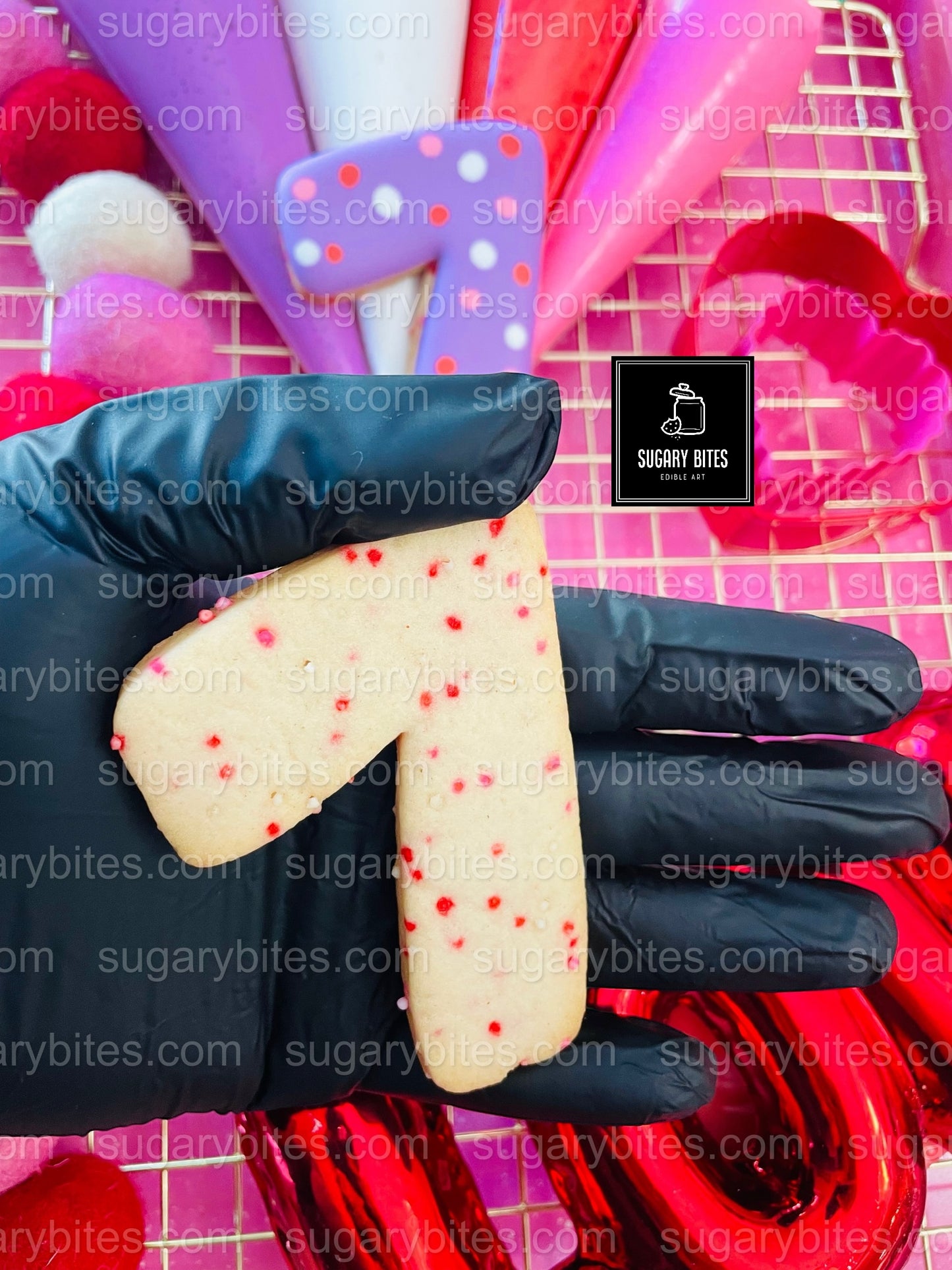 Valentine’s Day Cookie Decorating Kit, DIY Valentine’s Day Cookie Kit, **INCLUDES 24 ITEMS**(Large Cookies), Family Fun Treat,Valentine Gift