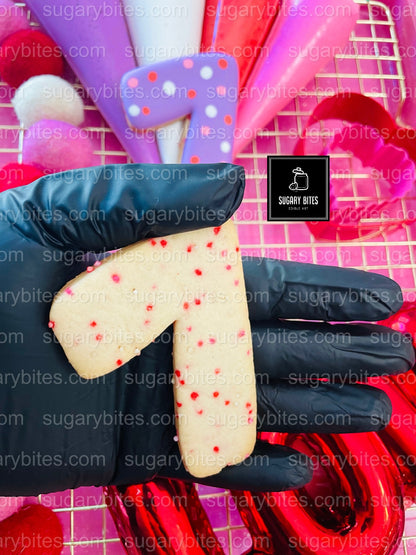 Valentine’s Day Cookie Decorating Kit, DIY Valentine’s Day Cookie Kit, **INCLUDES 24 ITEMS**(Large Cookies), Family Fun Treat,Valentine Gift