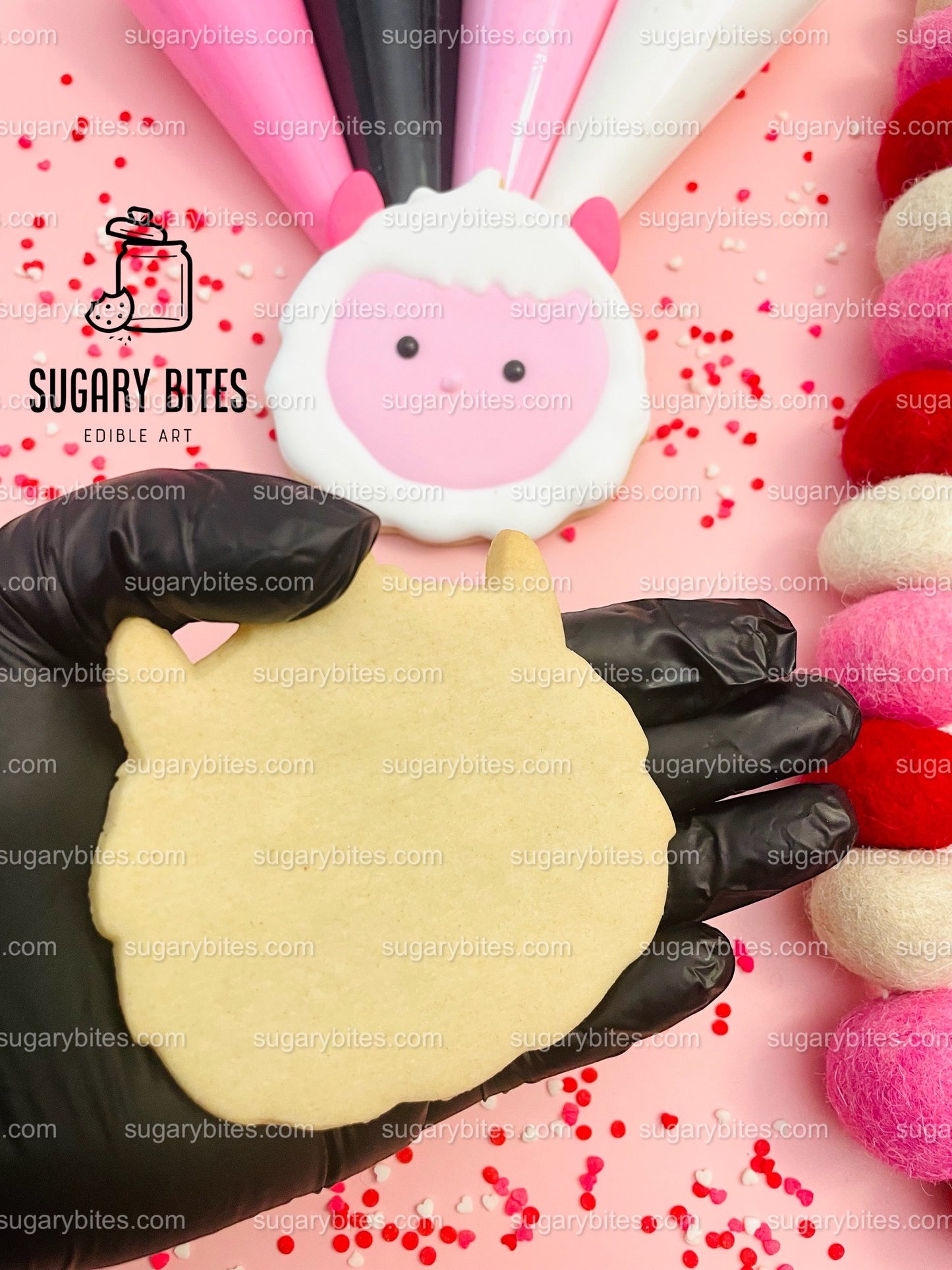 Valentines Cookie Decorating Kit, Heart DIY Cookie Kit, **INCLUDES 24 ITEMS** (Large Cookies), Deluxe Sprinkles Included!!!