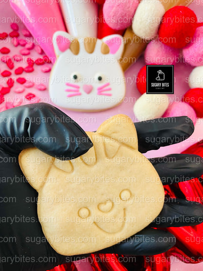 Valentine’s Day Cookie Decorating Kit, DIY Valentine’s Day Cookie Kit, **INCLUDES 24 ITEMS**(Large Cookies), Family Fun Treat,Valentine Gift