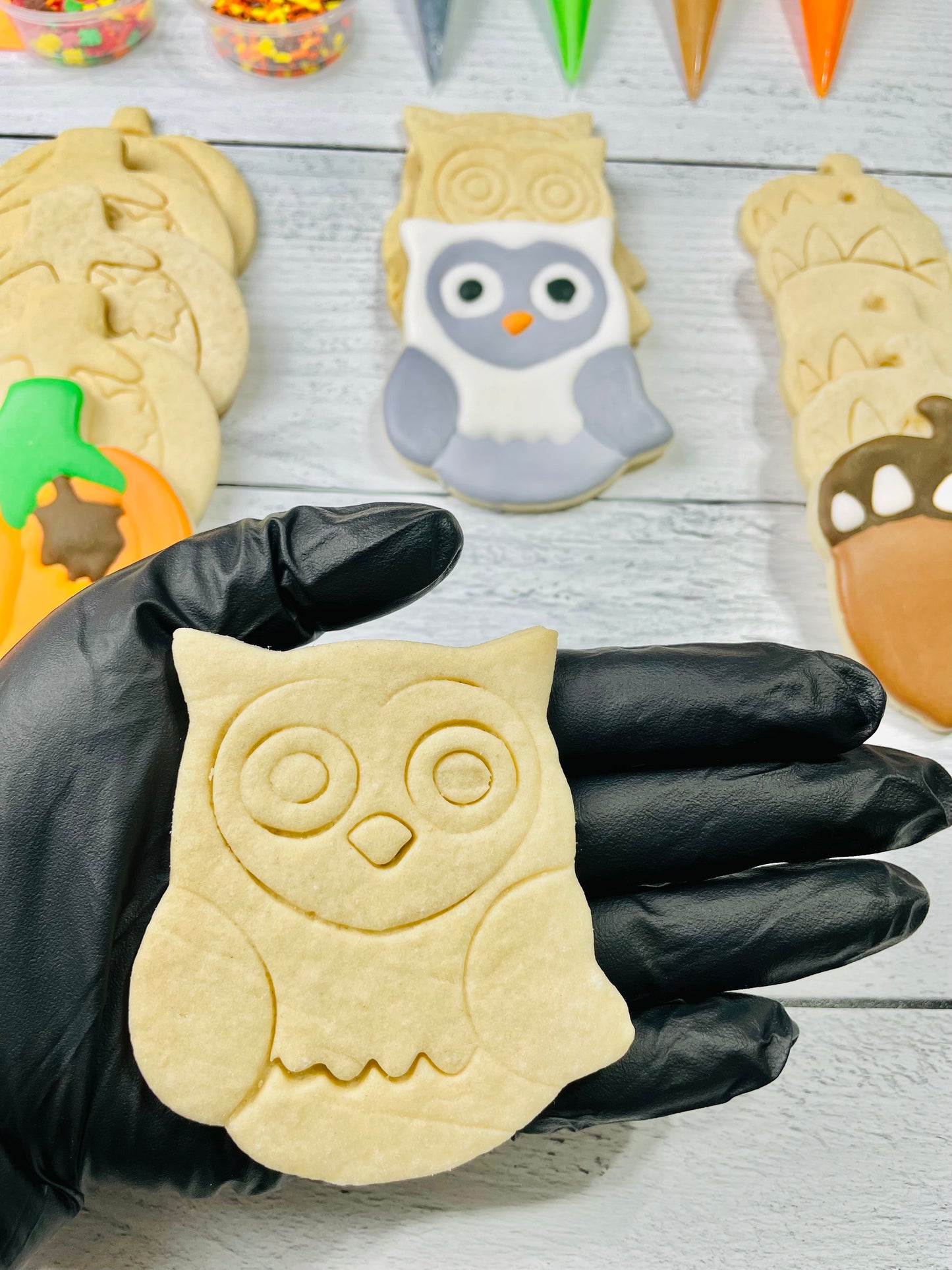 Fall Cookie Decorating Kit, Fall DIY Cookie Kit, ***INCLUDES 24 ITEMS***** Zoom Party Favors, Assorted Shaped Cookie Kit!