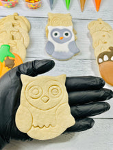Load image into Gallery viewer, Fall Cookie Decorating Kit, Fall DIY Cookie Kit, ***INCLUDES 24 ITEMS***** Zoom Party Favors, Assorted Shaped Cookie Kit!
