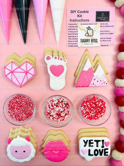 Valentines Cookie Decorating Kit, Heart DIY Cookie Kit, **INCLUDES 24 ITEMS** (Large Cookies), Deluxe Sprinkles Included!!!
