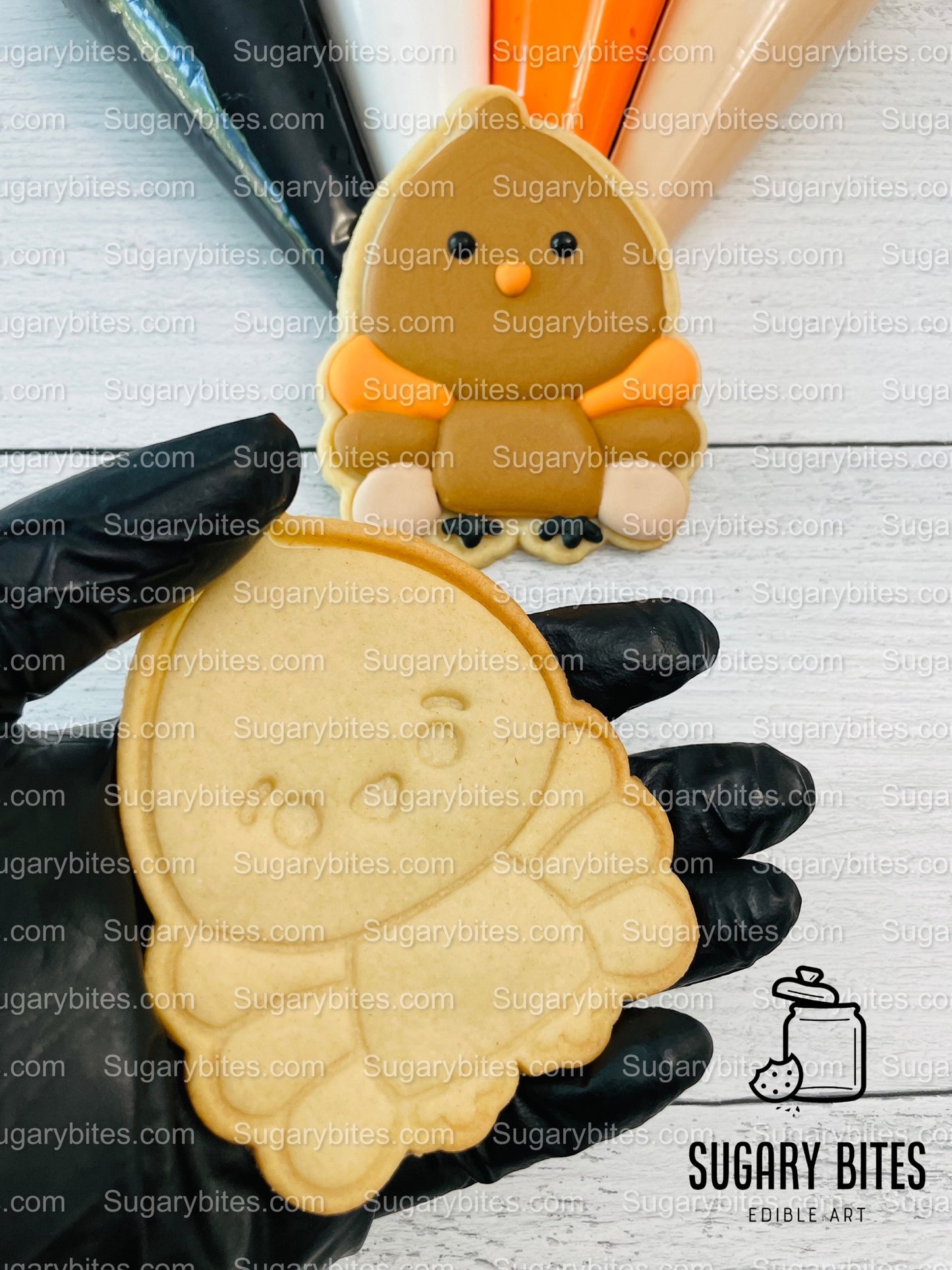 Fall Cookie Decorating Kit, Fall DIY Decorating Cookies Kit, (Large Cookies), **INCLUDES 24 ITEMS**, with 4 Icing Bags and 3 Sprinkles!