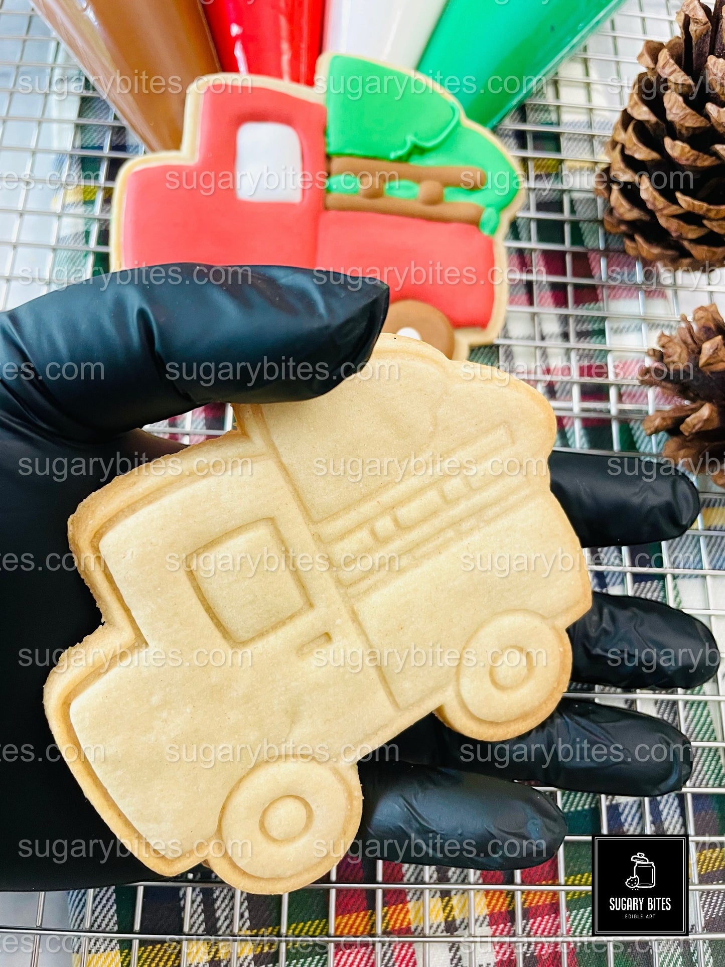 DIY Christmas Cookie Decorating Kit – Holiday Fun for Families, Gifts & Parties