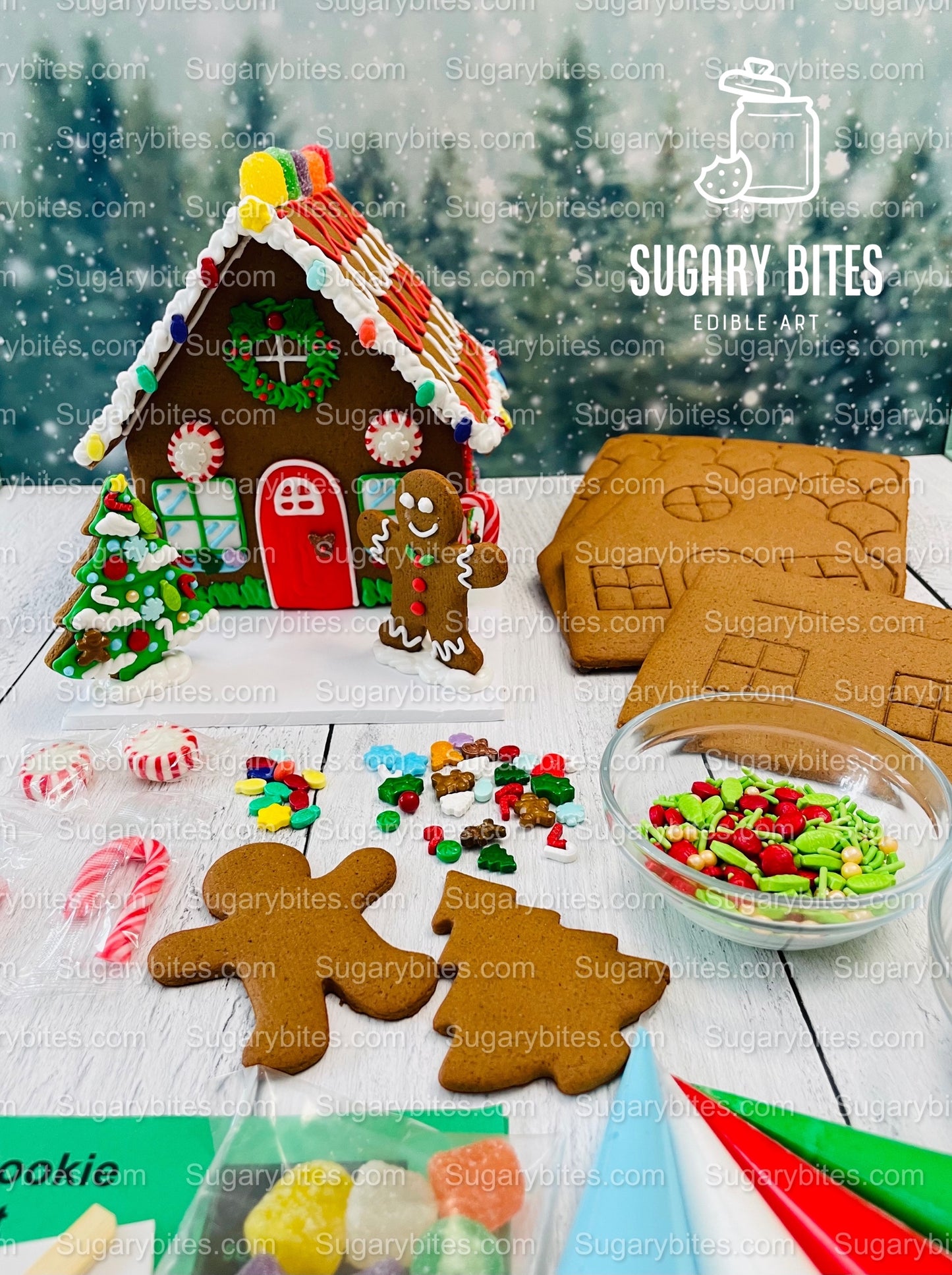 Gingerbread House Cookie Decorating Kit, DIY Cookie Kit, (Large Cookies), ***INCLUDES 24 ITEMS***With 4 Icing Bags & 6 Deluxe Sprinkles