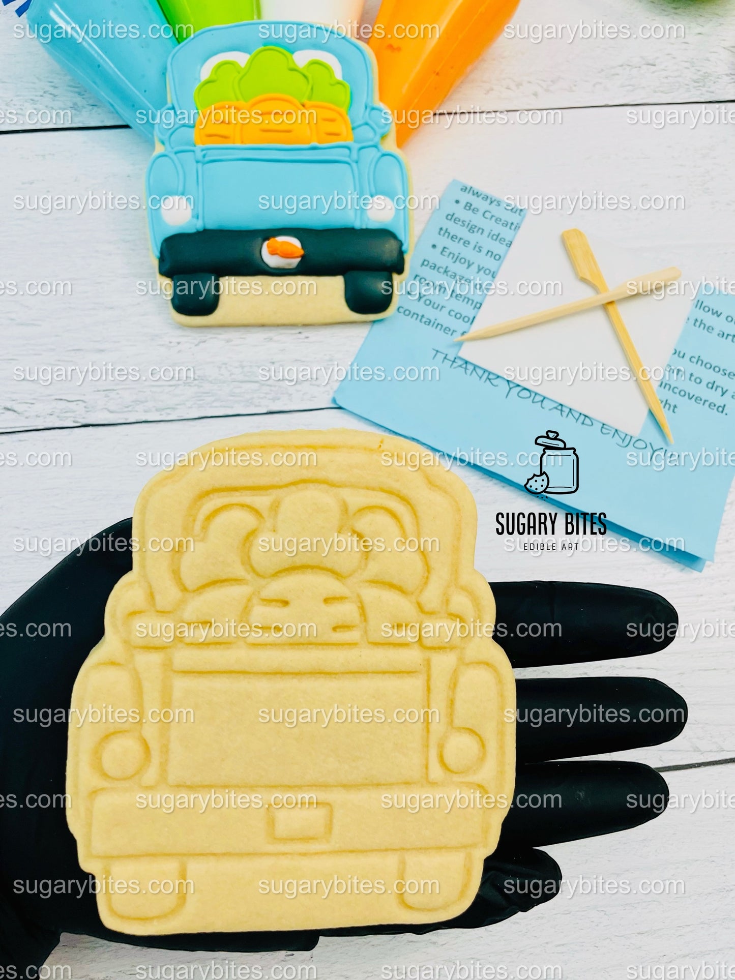 Easter Cookie Decorating Kit, DIY Easter Sugar Cookie Decorating Kit, **INCLUDES 24 ITEMS**, (Extra Large Cookies)