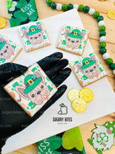 Load image into Gallery viewer, St. Patrick’s Day Cookie Set, Frenchie Birthday Gift,**SET of 12 Cookies**
