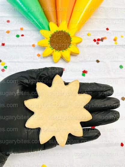 Fall Cookie Decorating Kit, ***INCLUDES 24 ITEMS*** Zoom Party Favors, Assorted Shaped Cookie Kit, (Large Cookies)!