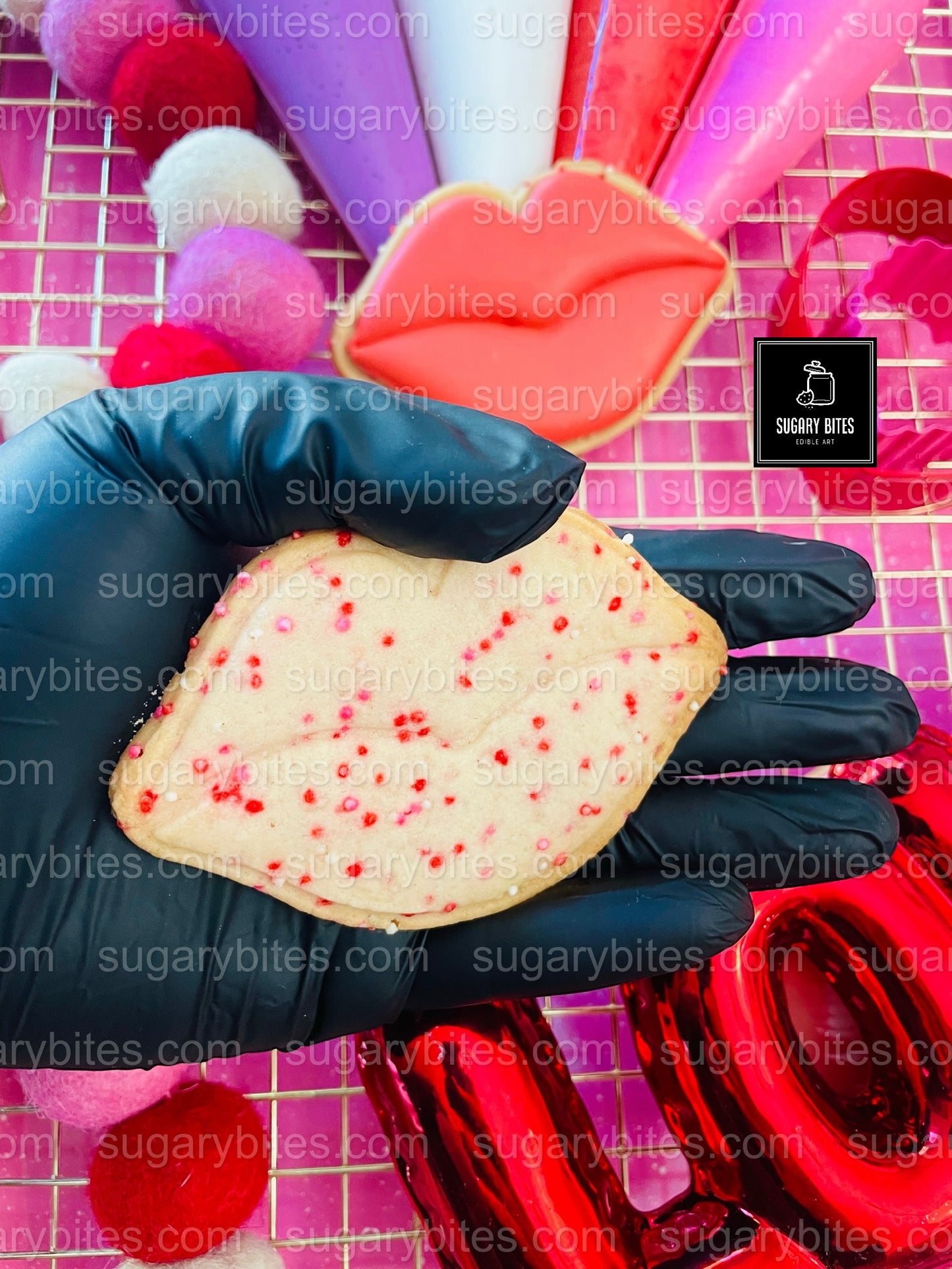 Valentine’s Day Cookie Decorating Kit, DIY Valentine’s Day Cookie Kit, **INCLUDES 24 ITEMS**(Large Cookies), Family Fun Treat,Valentine Gift