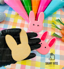 Load image into Gallery viewer, Easter Cookie Decorating Kit, DIY Spring Sugar Cookie Decorating Kit, **INCLUDES 24 ITEMS**, (Large Cookies)… with Deluxe Sprinkles!!!
