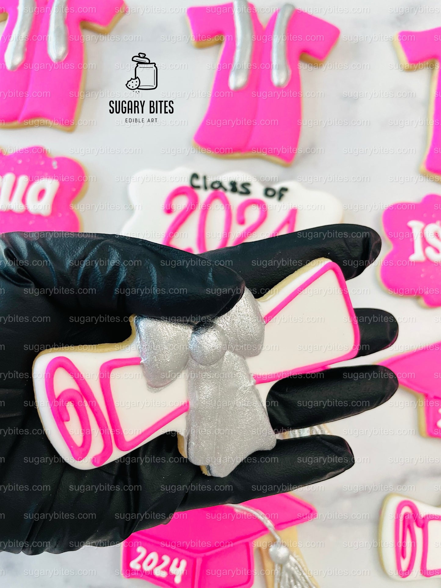 Graduation Cookies, Graduation Party, (Large Cookies), includes 12 decorated cookies!!