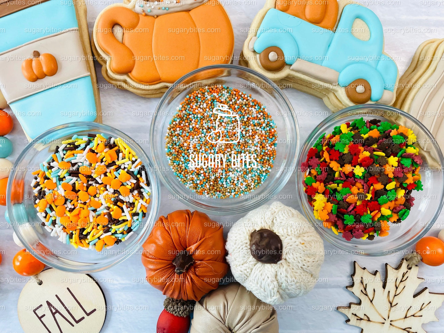 Fall Cookie Decorating Kit, ***INCLUDES 24 ITEMS*** Zoom Party Favors, Assorted Shaped Cookie Kit, (Large Cookies)