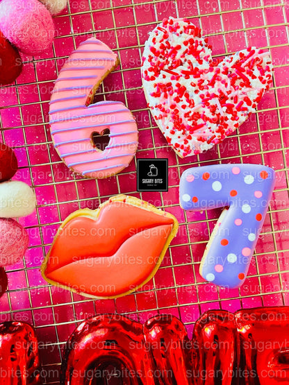 Valentine’s Day Cookie Decorating Kit, DIY Valentine’s Day Cookie Kit, **INCLUDES 24 ITEMS**(Large Cookies), Family Fun Treat,Valentine Gift