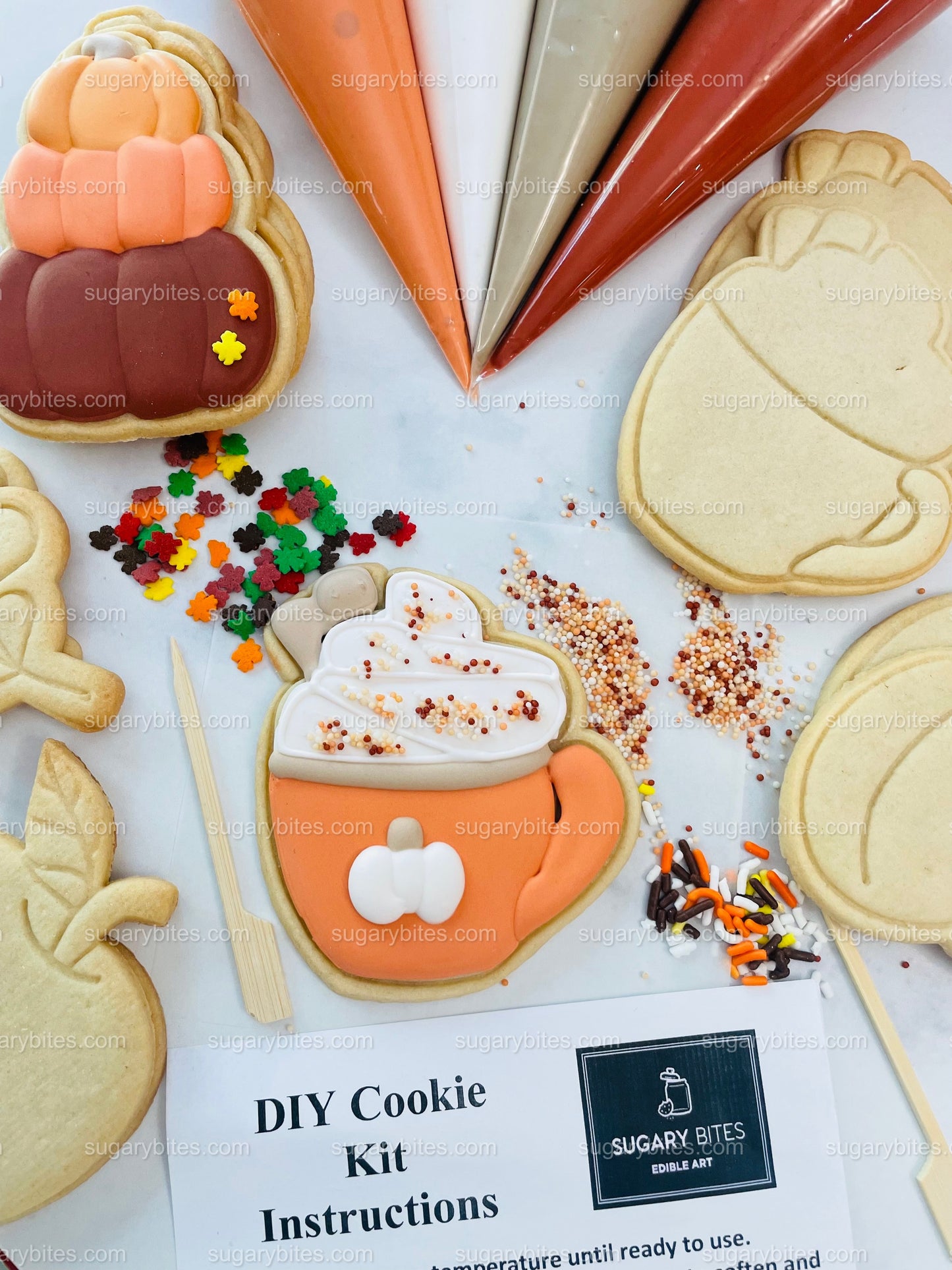 Fall Cookie Decorating Kit, ***INCLUDES 24 ITEMS*** Zoom Party Favors, Assorted Shaped Cookie Kit, (Large Cookies)
