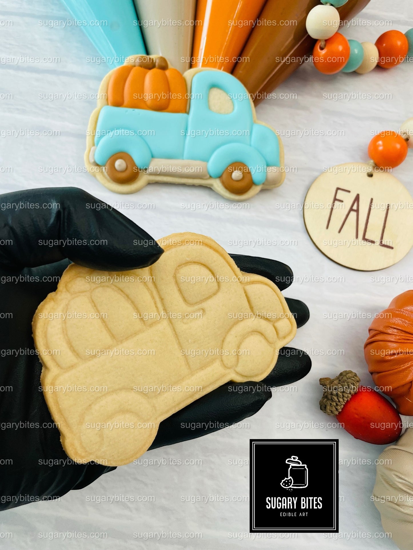 Fall Cookie Decorating Kit, ***INCLUDES 24 ITEMS*** Zoom Party Favors, Assorted Shaped Cookie Kit, (Large Cookies)