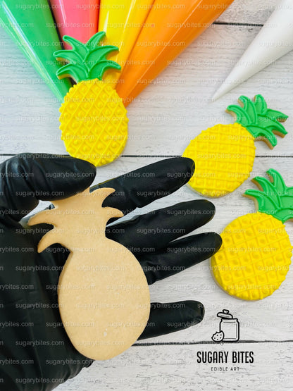 Summer Cookie Decorating Kit, ***INCLUDES 25 ITEMS***** Zoom Party Favors, Assorted Shaped Cookie Kit (Large Cookies) plus Free Bonus!!!