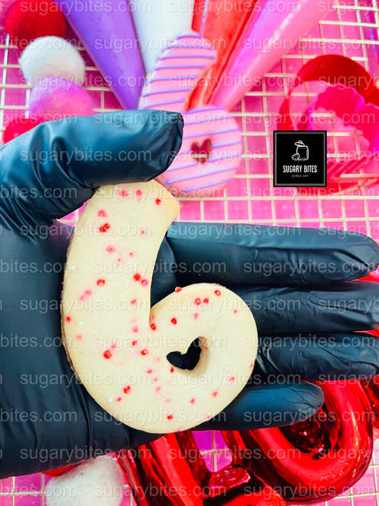 Valentine’s Day Cookie Decorating Kit, DIY Valentine’s Day Cookie Kit, **INCLUDES 24 ITEMS**(Large Cookies), Family Fun Treat,Valentine Gift