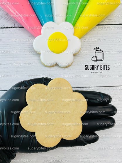 Groovy Cookie Decorating Kit, Summer DIY Sugar Cookie Kit, **INCLUDES 25 ITEMS**, (Large Cookies)… with Deluxe Sprinkles!!!