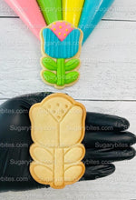 Load image into Gallery viewer, Flower Cookie Decorating Kit, DIY Flower Cookie Decorating Kit, Spring/Easter Diy cookie kit, **INCLUDES 24 ITEMS** (Large Cookies)
