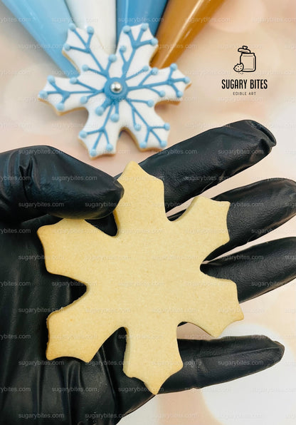 Winter Cookie Decorating Kit, Winter DIY Cookie Kit, (Large Cookies) ***INCLUDES 24 ITEMS*** With 4 Icing Bags & 3 Deluxe Sprinkle!!