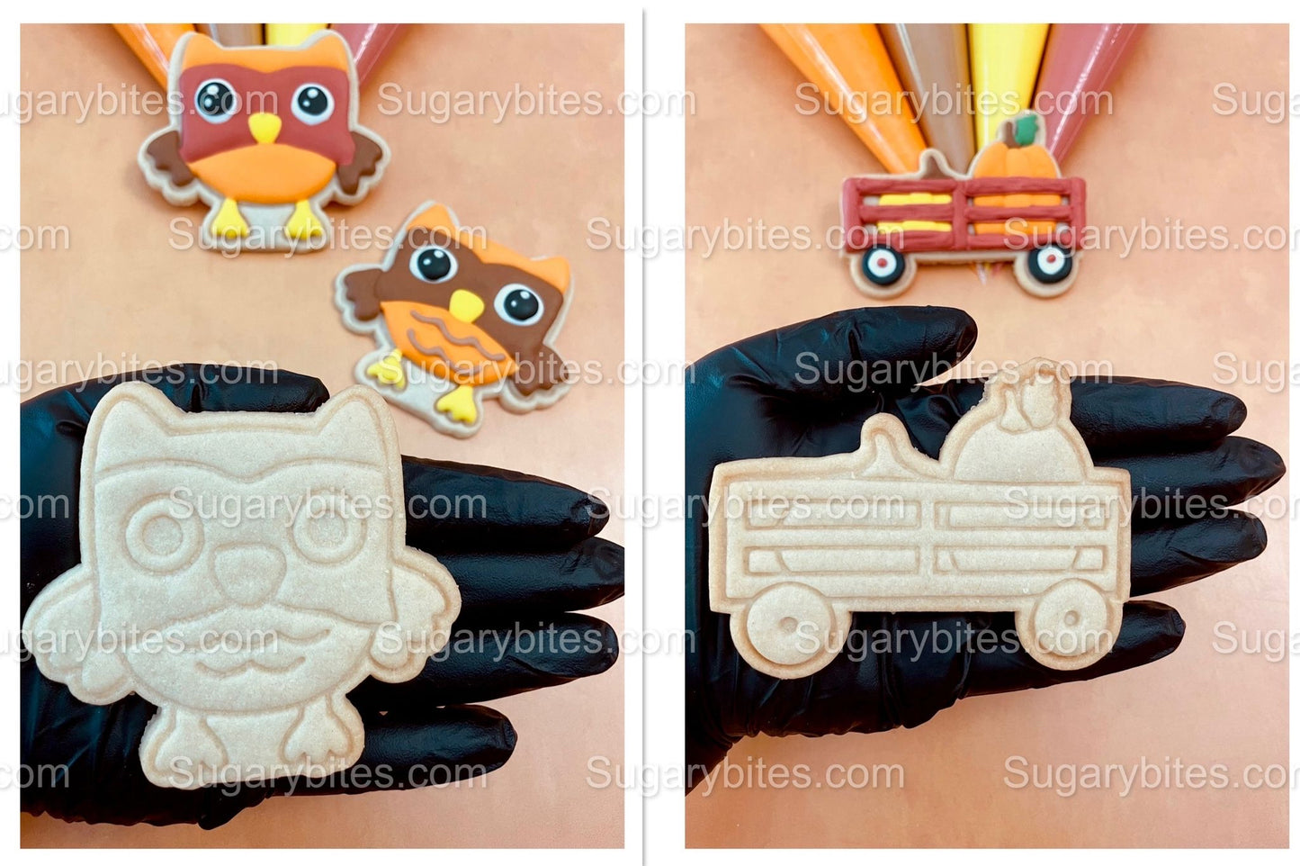 Fall Cookie Decorating Kit, Fall DIY Decorating Cookies Kit, (Large Cookies), **INCLUDES 24 ITEMS**, with 4 Icing Bags and 3 Sprinkles!!!…with FREE SHIPPING!!!