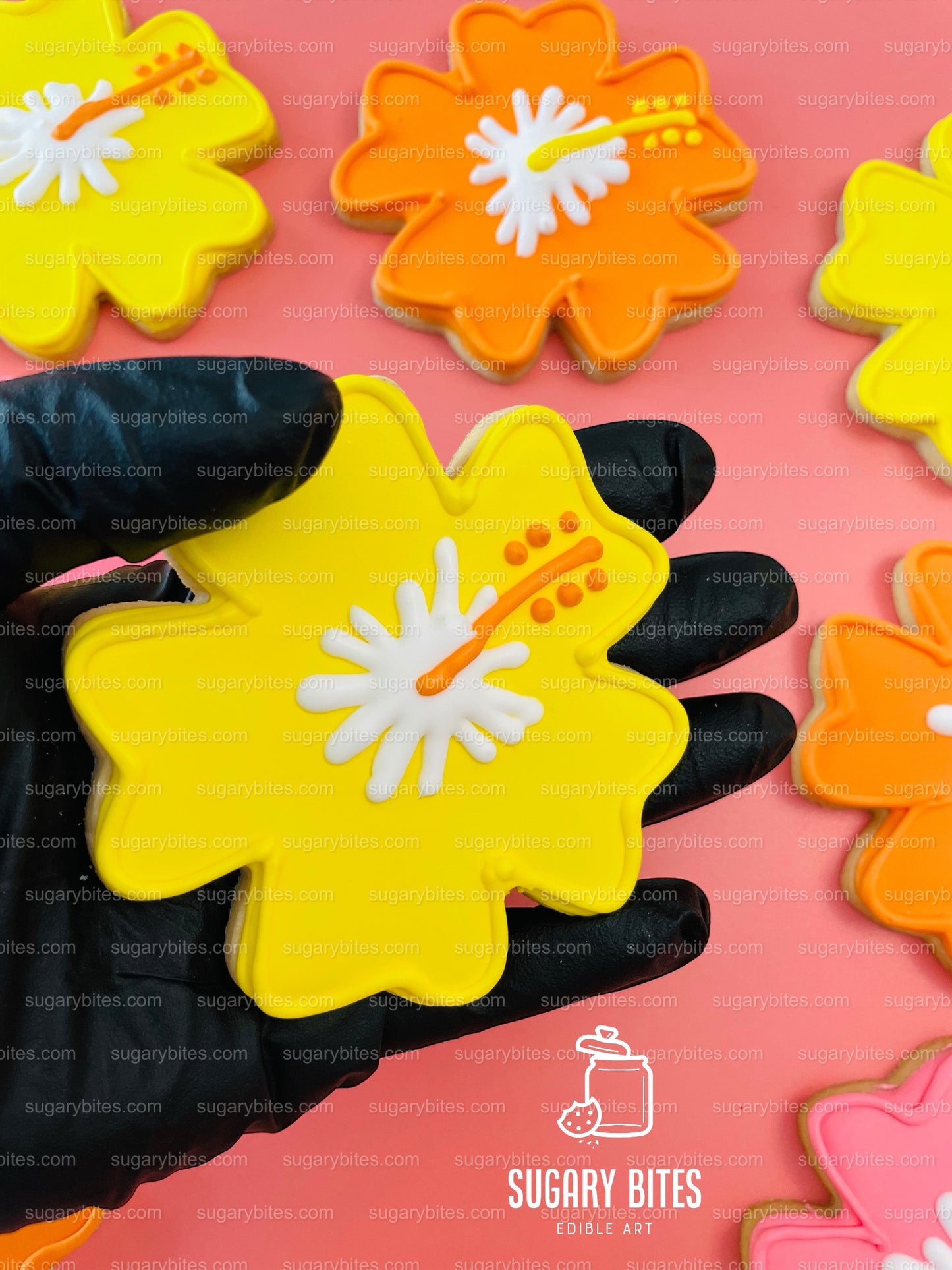 Hibiscus Flower Cookie, Summer Cookies, Flower Cookies, Hawaiian Cookies, Tropical Cookies, ****Includes 12 Large Decorated Cookies****