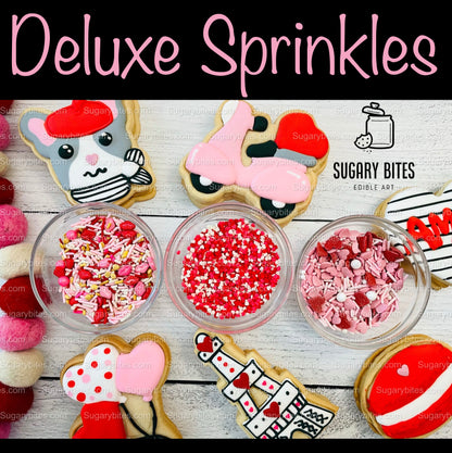 Valentines Cookie Decorating Kit, DIY Cookie Kit, **INCLUDES 25 ITEMS** (Large Cookies), Deluxe Sprinkles Included & 5 Icing Bags!!