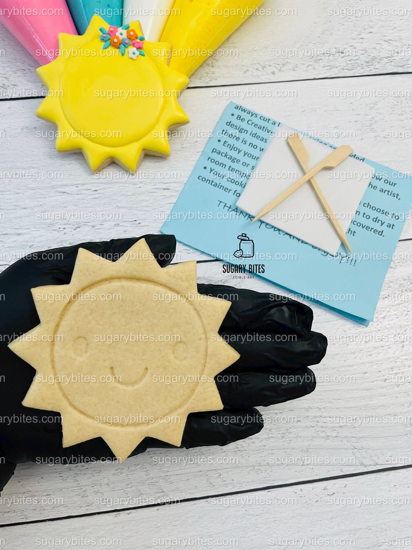 Summer Day Cookie Decorating Kit, DIY Spring Sugar Cookie Decorating Kit, **INCLUDES 24 ITEMS** , (Large Cookies) … With 4 Icing Bags!!