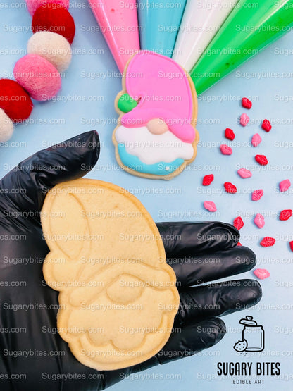 Valentine’s Day Cookie Decorating Kit, Heart DIY Cookie Kit, **INCLUDES 24 ITEMS** (Large Cookies), Deluxe Sprinkles Included!!!