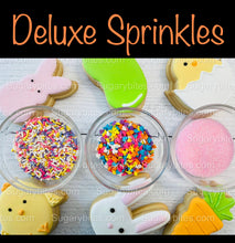 Load image into Gallery viewer, Easter Cookie Decorating Kit, Easter DIY Cookie Kit, **INCLUDES 25 ITEMS** (Large Cookies), Included Deluxe Sprinkles
