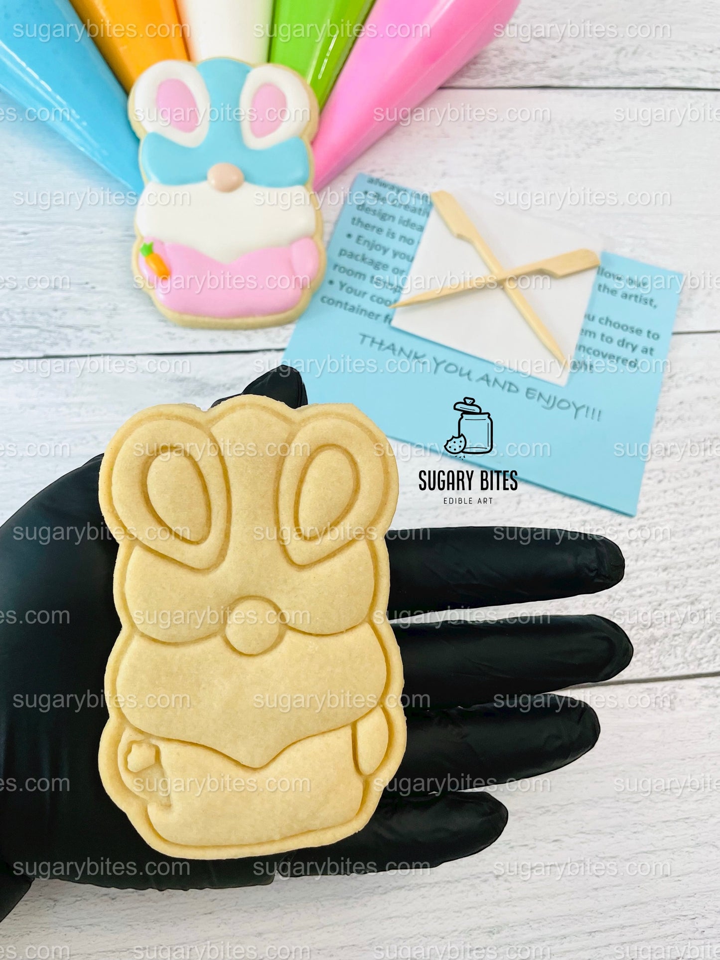 Easter Cookie Decorating Kit, Easter Spring DIY Sugar Cookie Kit, **INCLUDES 24 ITEMS**, (Extra Large Cookies) With 5 Icing Bags!!!
