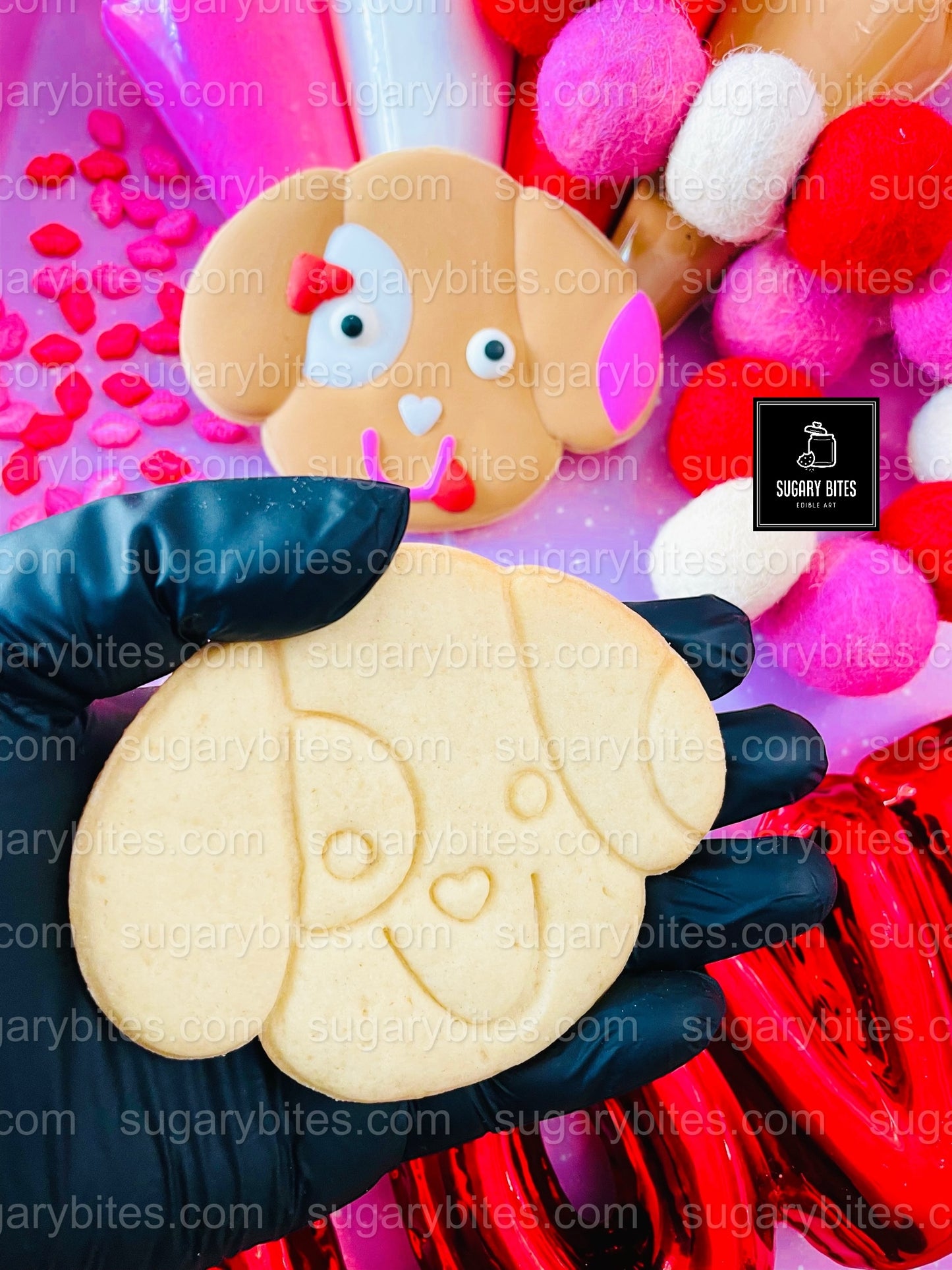 Valentine’s Day Cookie Decorating Kit, DIY Valentine’s Day Cookie Kit, **INCLUDES 24 ITEMS**(Large Cookies), Family Fun Treat,Valentine Gift