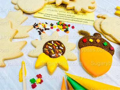 Fall Cookie Decorating Kit, ***INCLUDES 24 ITEMS*** Zoom Party Favors, Assorted Shaped Cookie Kit, (Large Cookies)!