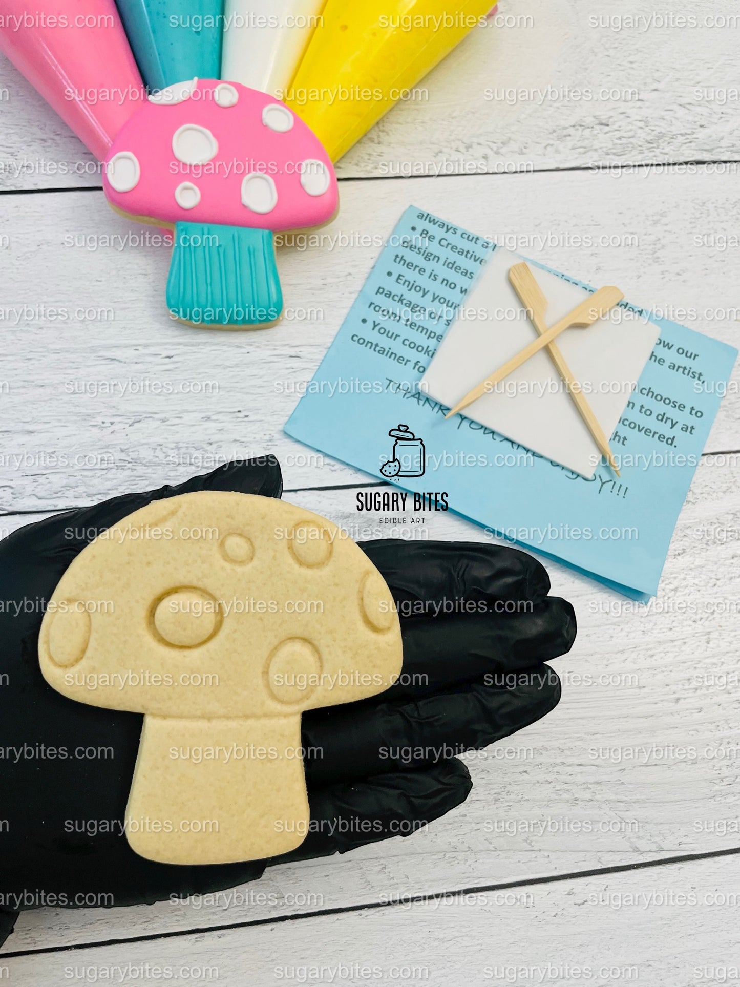 Summer Day Cookie Decorating Kit, DIY Spring Sugar Cookie Decorating Kit, **INCLUDES 24 ITEMS** , (Large Cookies) … With 4 Icing Bags!!