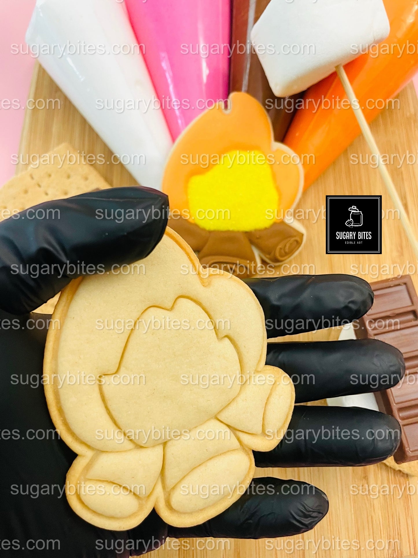 Camping Cookie Decorating Kit, Campfire Cookies, S’more Cookies, (Large Cookies)**INCLUDES 24 ITEMS** With 4 Icing Bags & 3 Deluxe Sprinkle!