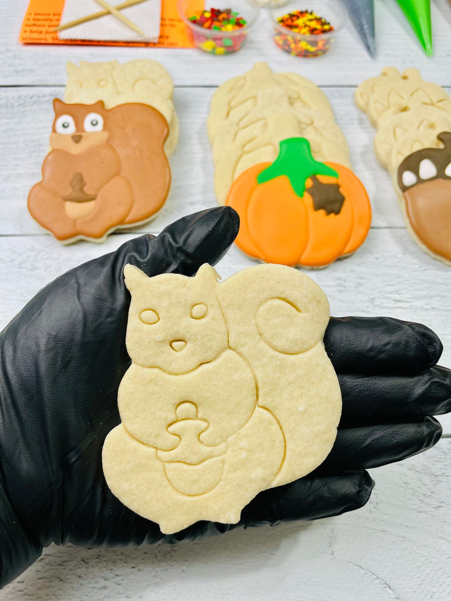 Fall Cookie Decorating Kit, Fall DIY Cookie Kit, ***INCLUDES 24 ITEMS***** Zoom Party Favors, Assorted Shaped Cookie Kit!