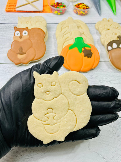 Fall Cookie Decorating Kit, Fall DIY Cookie Kit, ***INCLUDES 24 ITEMS***** Zoom Party Favors, Assorted Shaped Cookie Kit!