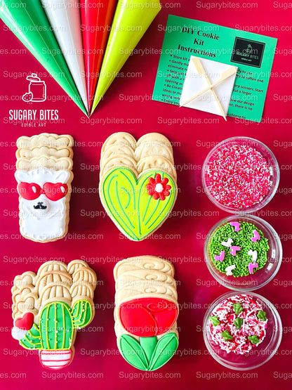Valentine’s Day Cookie Decorating Kit, Heart DIY Cookie Kit, **INCLUDES 24 ITEMS** (Large Cookies), Deluxe Sprinkles Included!!!