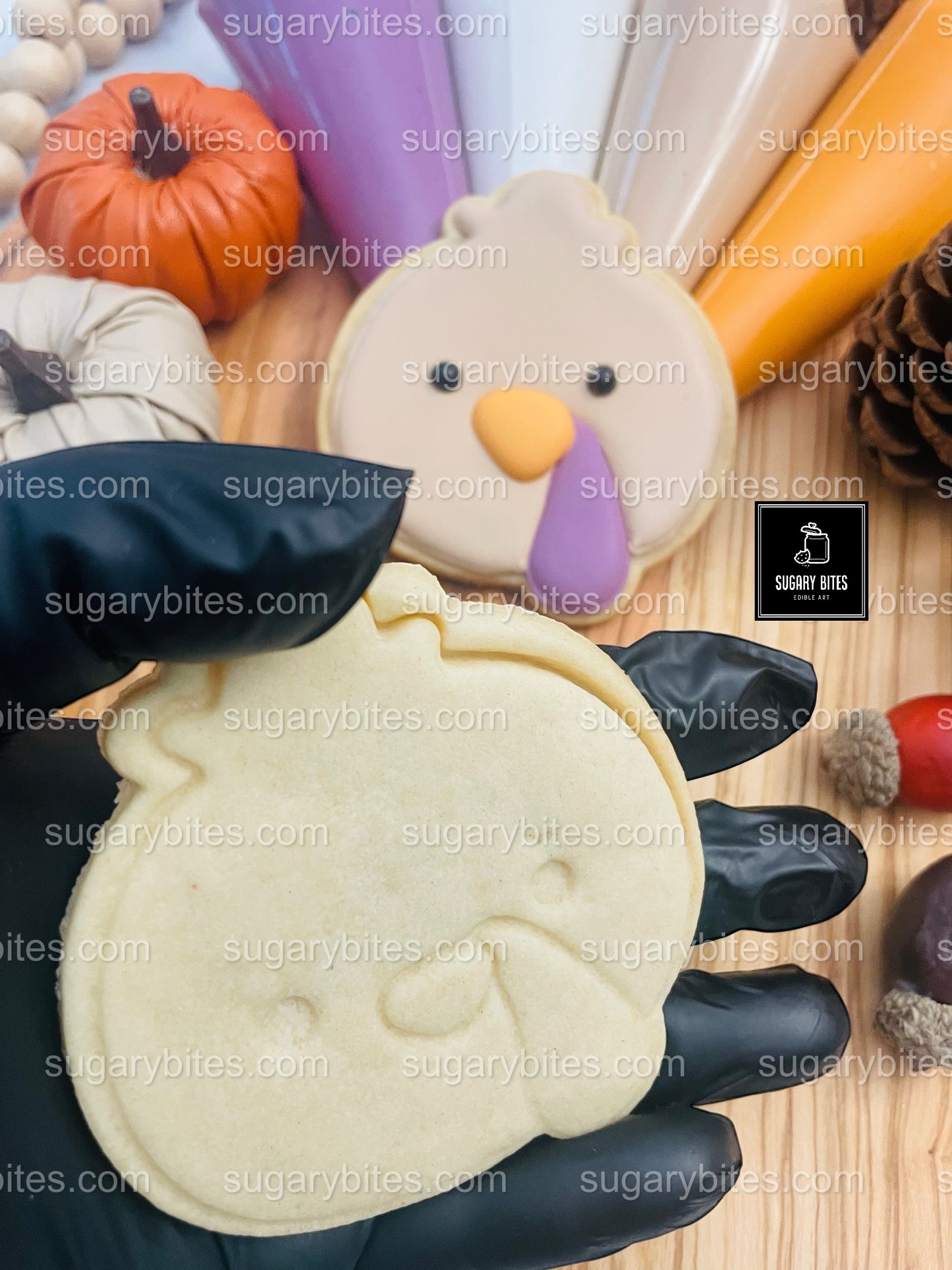 Fall Cookie Decorating Kit, Thanksgiving DIY cookie kit **INCLUDES 24 ITEMS* Zoom Party Favors, Assorted Shaped Cookie Kit, (Large Cookies)