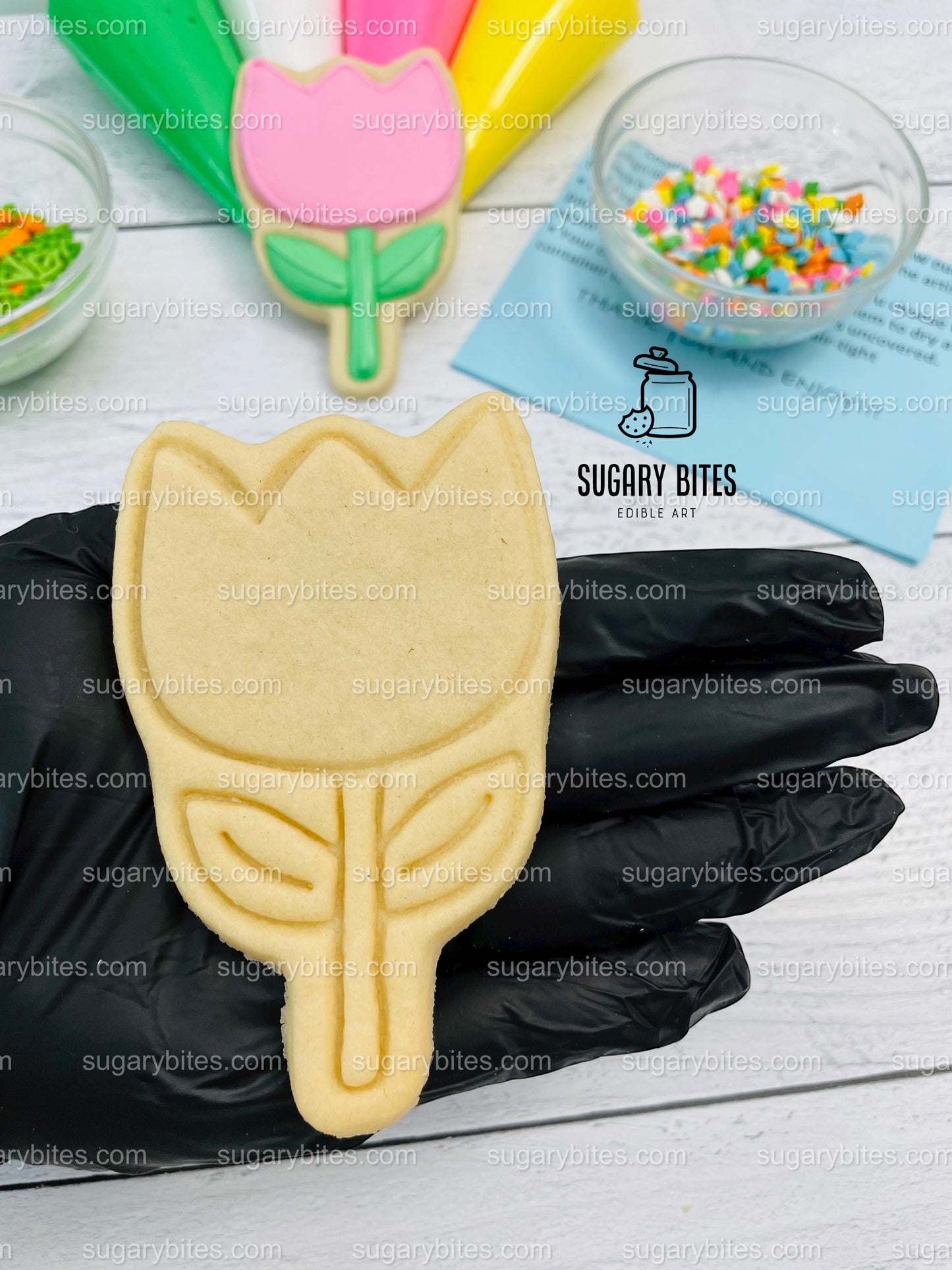 Easter Cookie Decorating Kit, DIY Spring Sugar Cookie Decorating Kit, **INCLUDES 23 ITEMS**, (Large Cookies)… with Free Bonus!!!