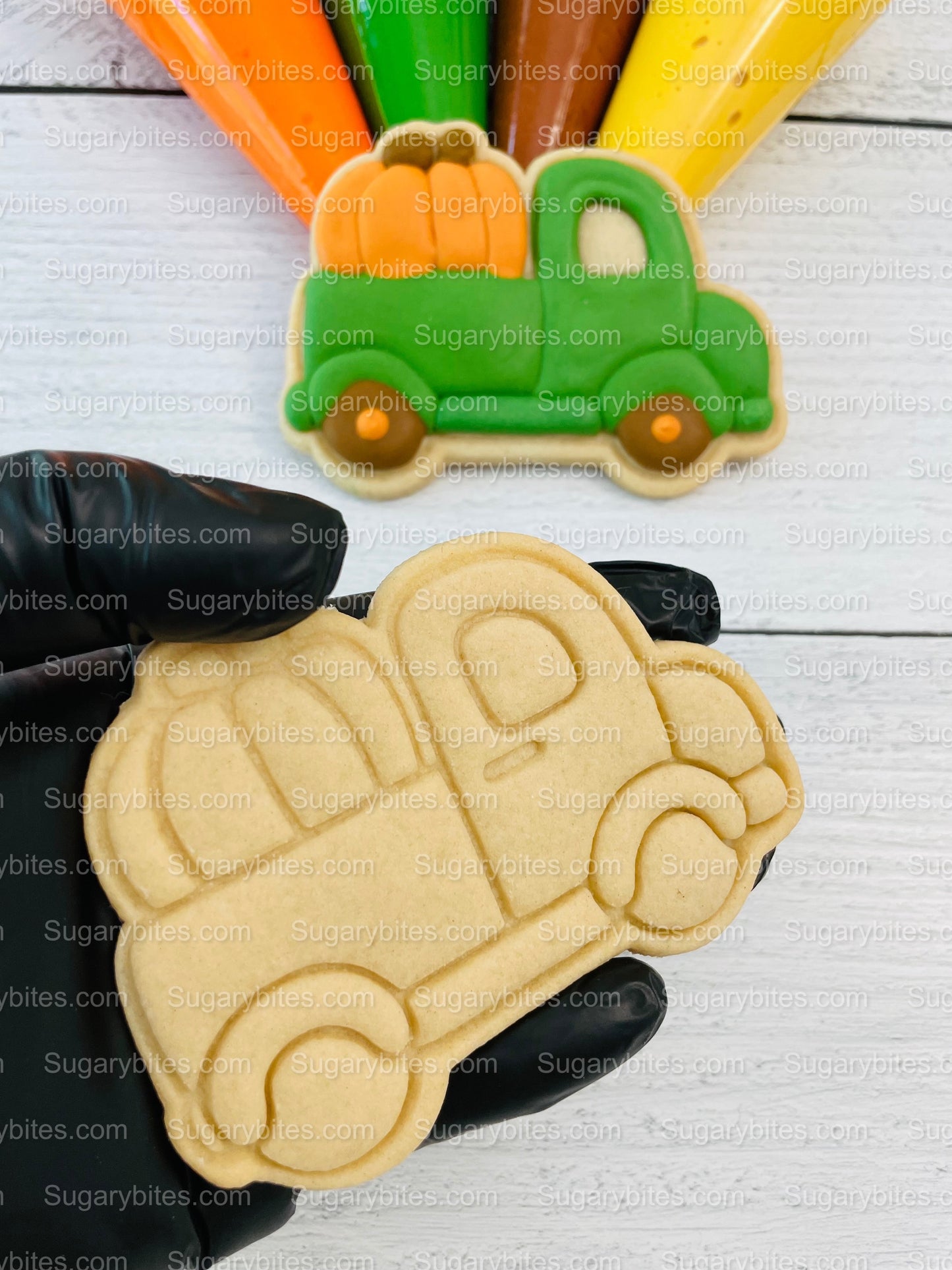 Fall Cookie Decorating Kit, ***INCLUDES 24 ITEMS*** (Large Cookies),Zoom Party Favors, W/ 4 Icing Bags and 3 Deluxe Sprinkles!