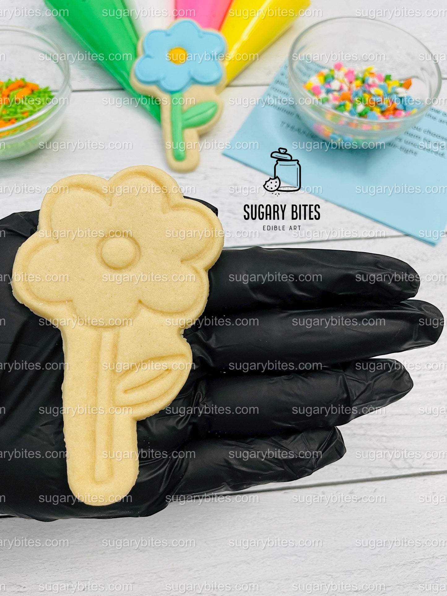 Easter Cookie Decorating Kit, DIY Spring Sugar Cookie Decorating Kit, **INCLUDES 23 ITEMS**, (Large Cookies)… with Free Bonus!!!