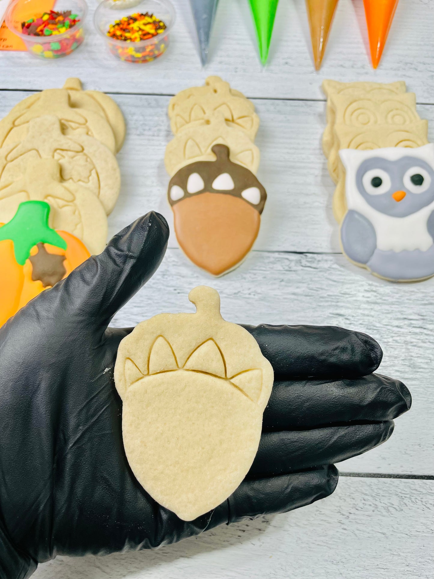 Fall Cookie Decorating Kit, Fall DIY Cookie Kit, ***INCLUDES 24 ITEMS***** Zoom Party Favors, Assorted Shaped Cookie Kit!