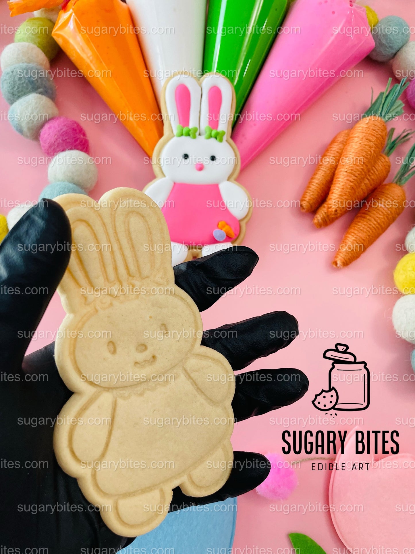 Easter Cookie Decorating Kit, DIY Spring Sugar Cookie Decorating Kit, **INCLUDES 24 ITEMS**, (Large Cookies)… with Deluxe Sprinkles!!!