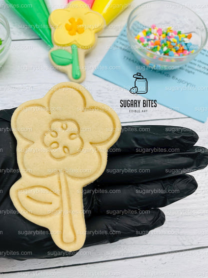 Easter Cookie Decorating Kit, DIY Spring Sugar Cookie Decorating Kit, **INCLUDES 23 ITEMS**, (Large Cookies)… with Free Bonus!!!