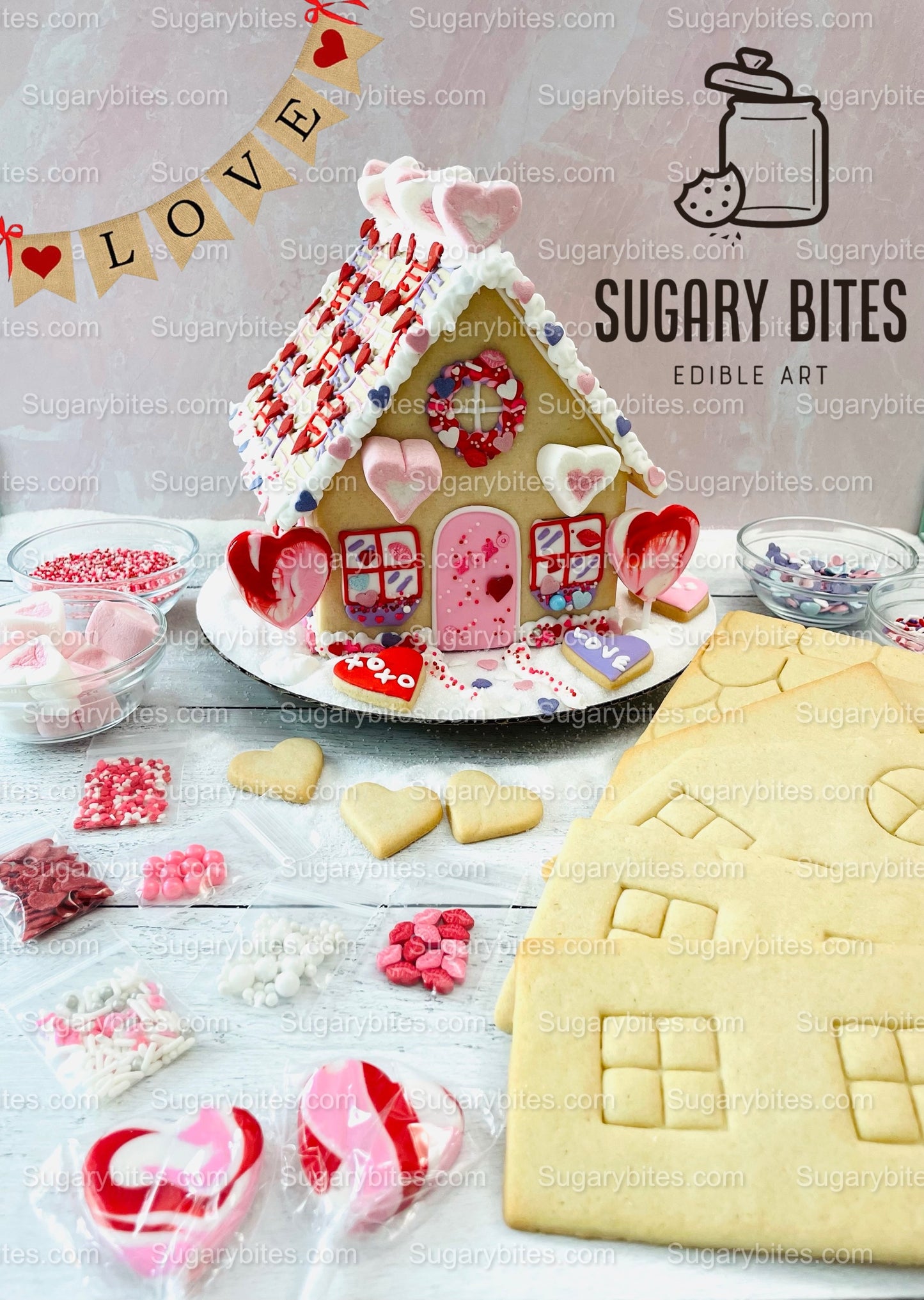 Valentines House Cookie Decorating Kit, (Large Cookies), ***INCLUDES 31 ITEMS***W/ 5 Icing Bags & 11 Deluxe Sprinkles… 3 different FLAVORS!!