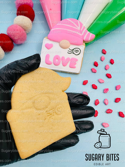Valentine’s Day Cookie Decorating Kit, Heart DIY Cookie Kit, **INCLUDES 24 ITEMS** (Large Cookies), Deluxe Sprinkles Included!!!