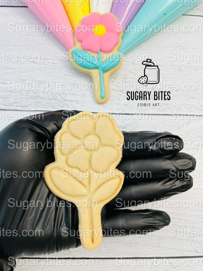 Easter Cookie Decorating Kit, Easter DIY Cookie Kit, **INCLUDES 25 ITEMS** (Large Cookies), Included Deluxe Sprinkles